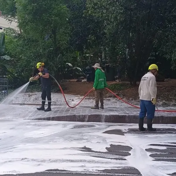 recicladores limpieza provenza